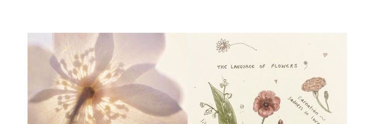 ༊·˚'s banner