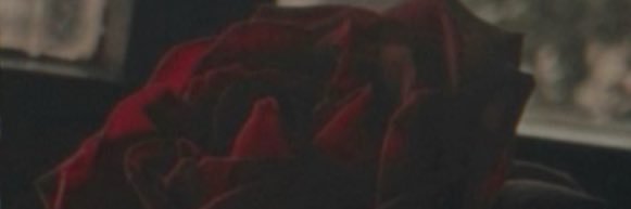 allyzthetics's profile banner image