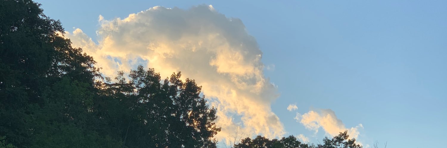 Curiosity in Room 7 banner