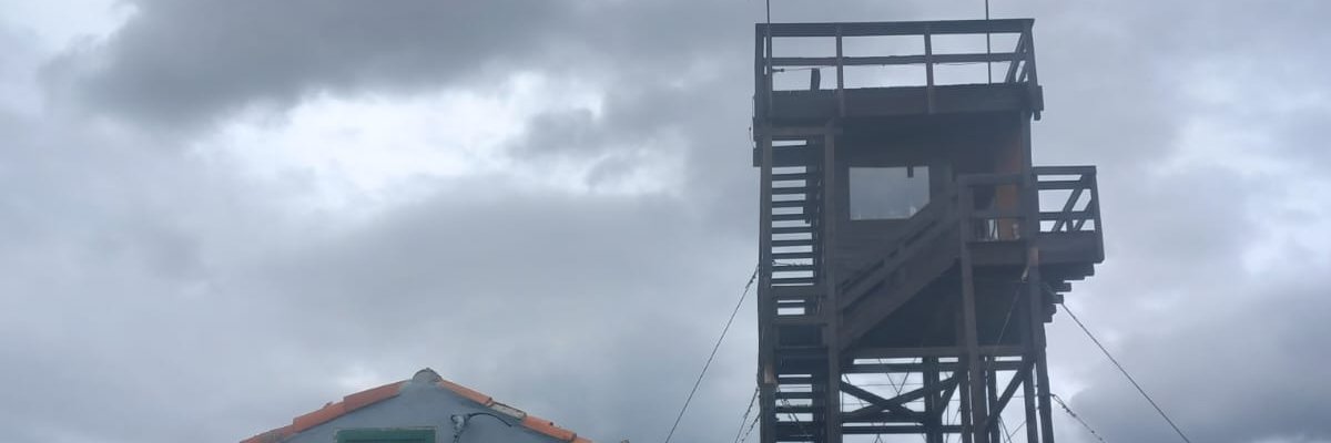 Lia Verde banner