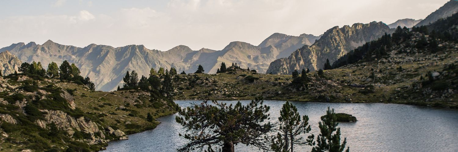 MistermaxXx 🟥⚔️ banner