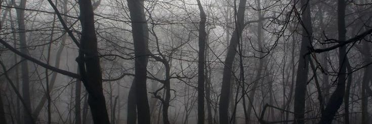 damiendammy's profile banner image