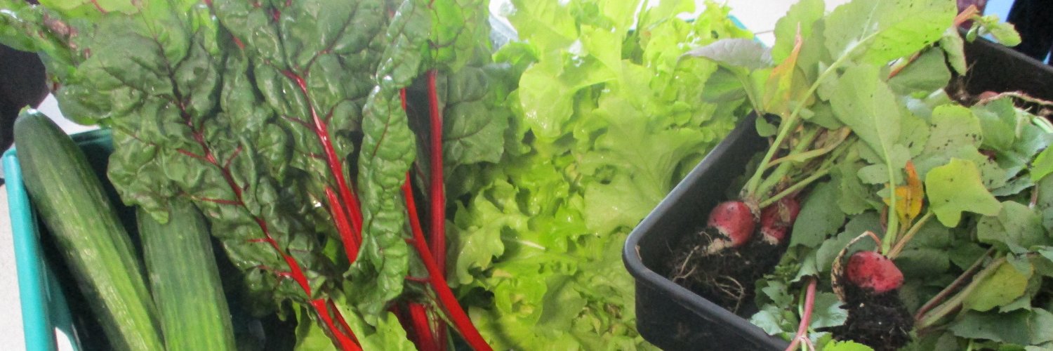 Community Connections at The Halifax Academy banner