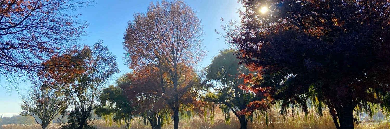 Sam Choles 🐝 banner