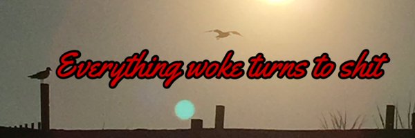 What is Truth🇺🇸 Profile Banner