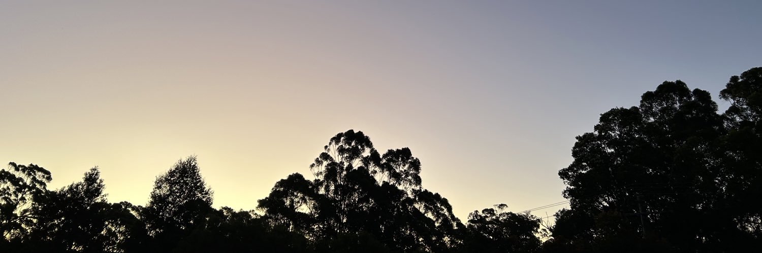 Lachlan Gilchrist's banner