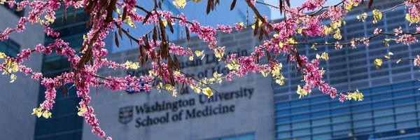 WashUAllergyImm Profile Banner