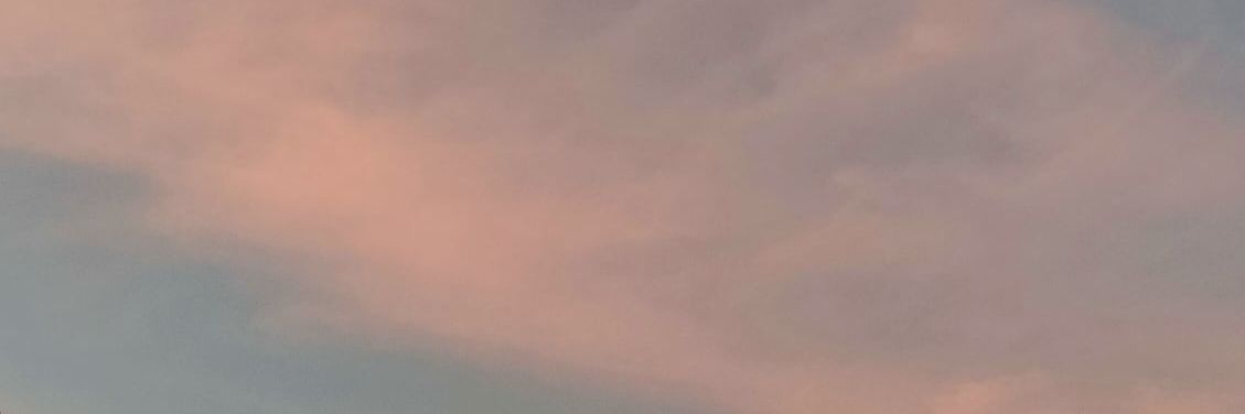 Dee banner