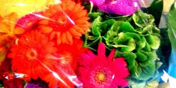 hanabi_n's profile banner image