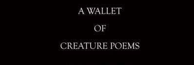 Sue Spiers 💙🧑‍⚕️👩‍⚕️👨‍⚕️ banner