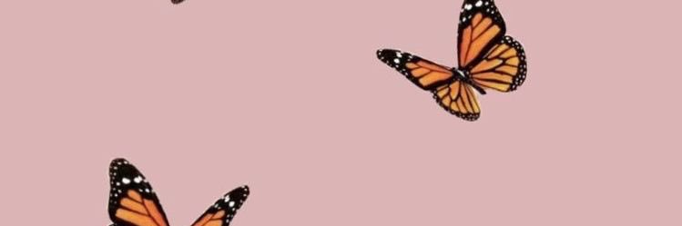 MissMazzio's profile banner image