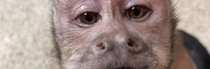 SamyPrats's profile banner image