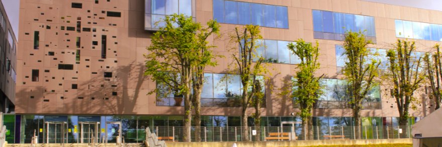 European Conference on Literacy, Dublin 2022 banner