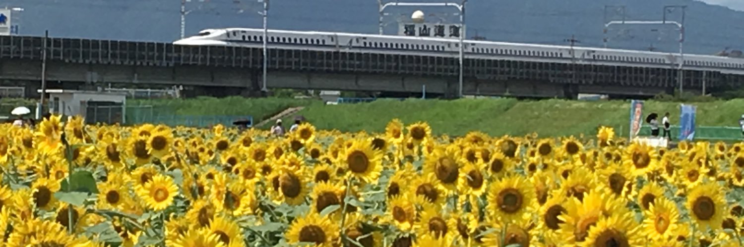 megu775614's profile banner image