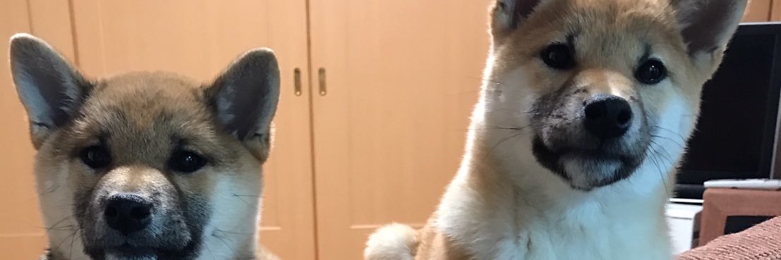 ryuji_cs's profile banner image