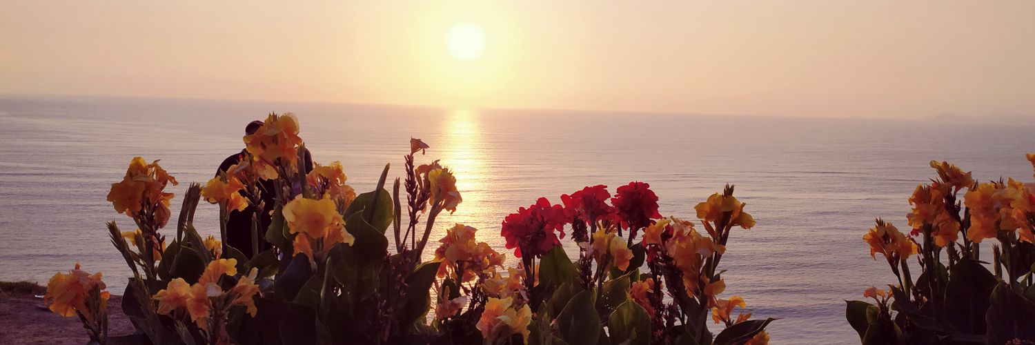 malditailusa's profile banner image