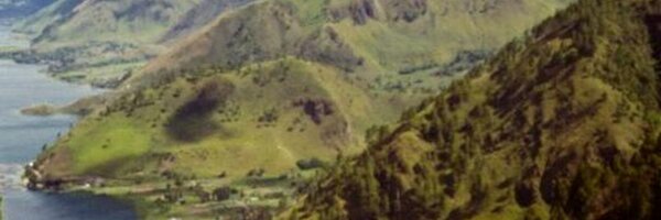 fionasuwana Profile Banner