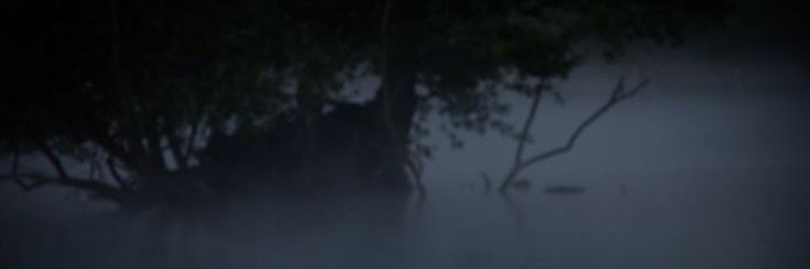 𝑺𝒖𝒏𝒈𝒈𝒊𝒙𝒊𝒆 banner