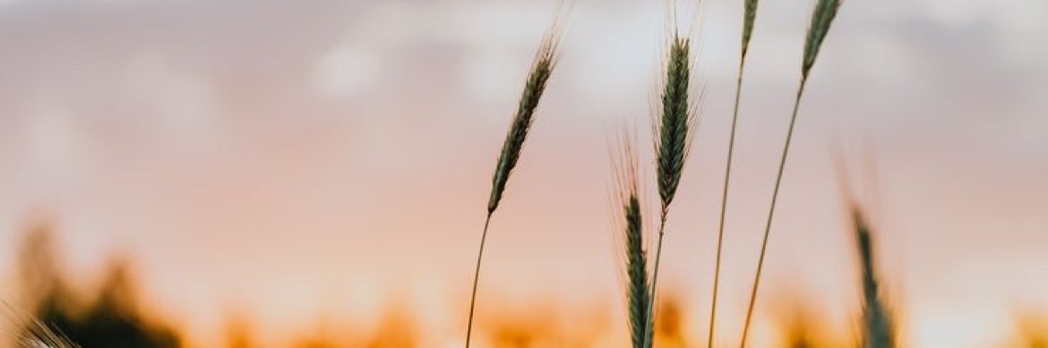brianasaurusrx's profile banner image