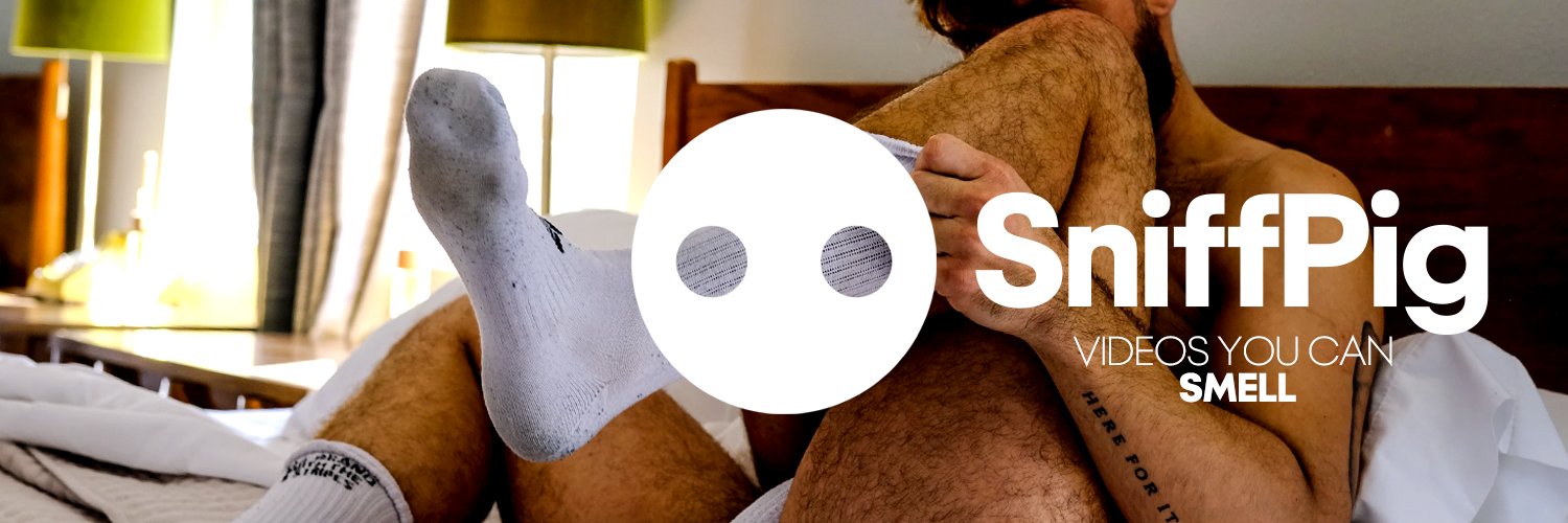 SniffPig (📍Puerto Vallarta) banner