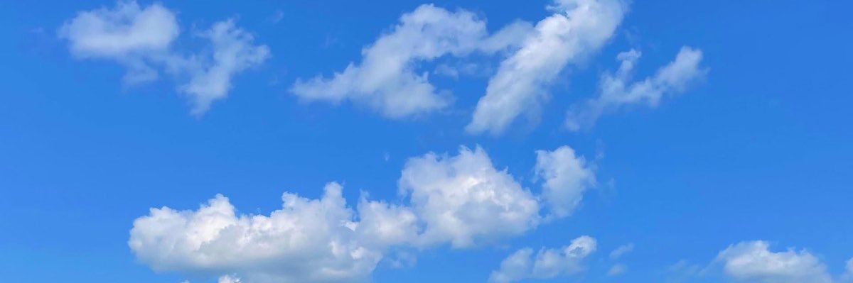 mccannic's profile banner image