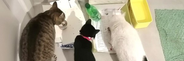 lasimo90 Profile Banner