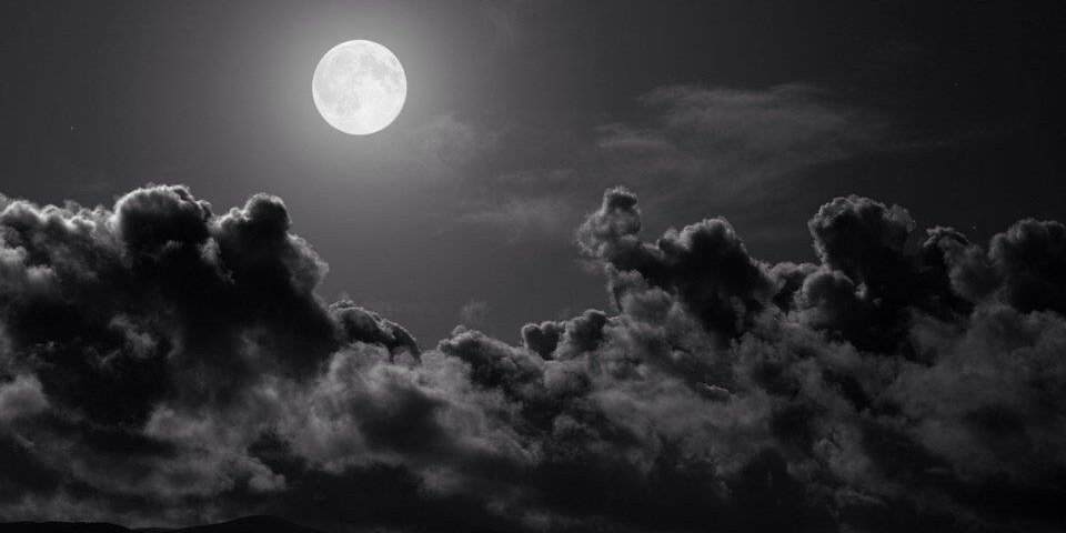 aleck84's profile banner image