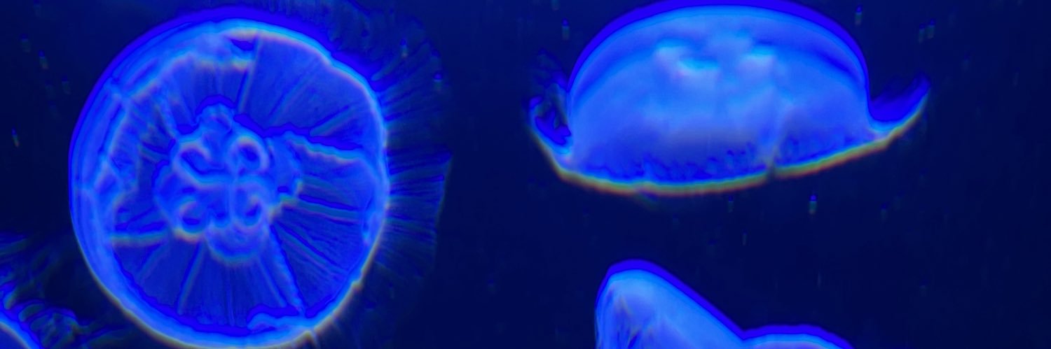 abknickel's profile banner image