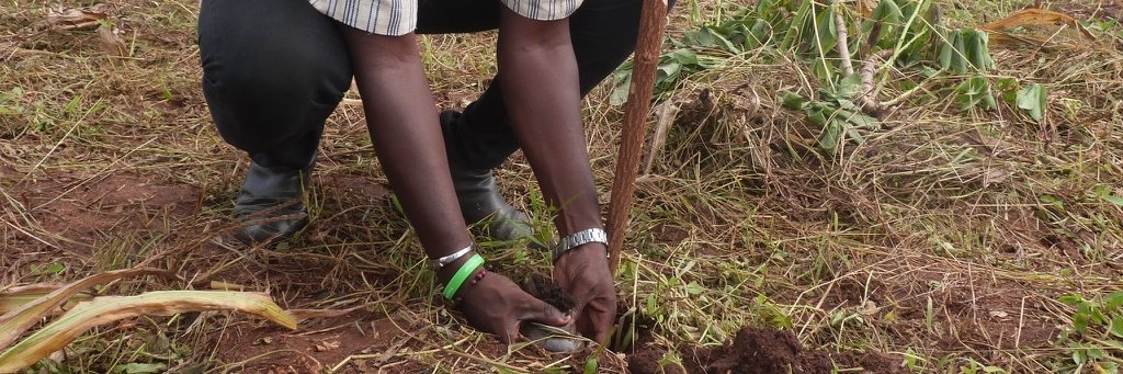 Mister Climat Carin Karl #COP30 banner
