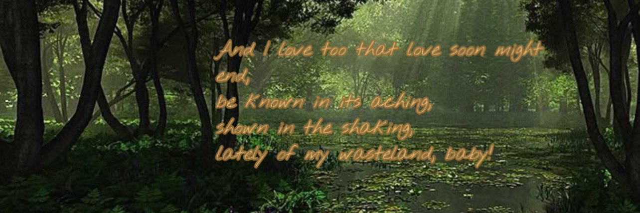 cici🌿🐛🪲 banner