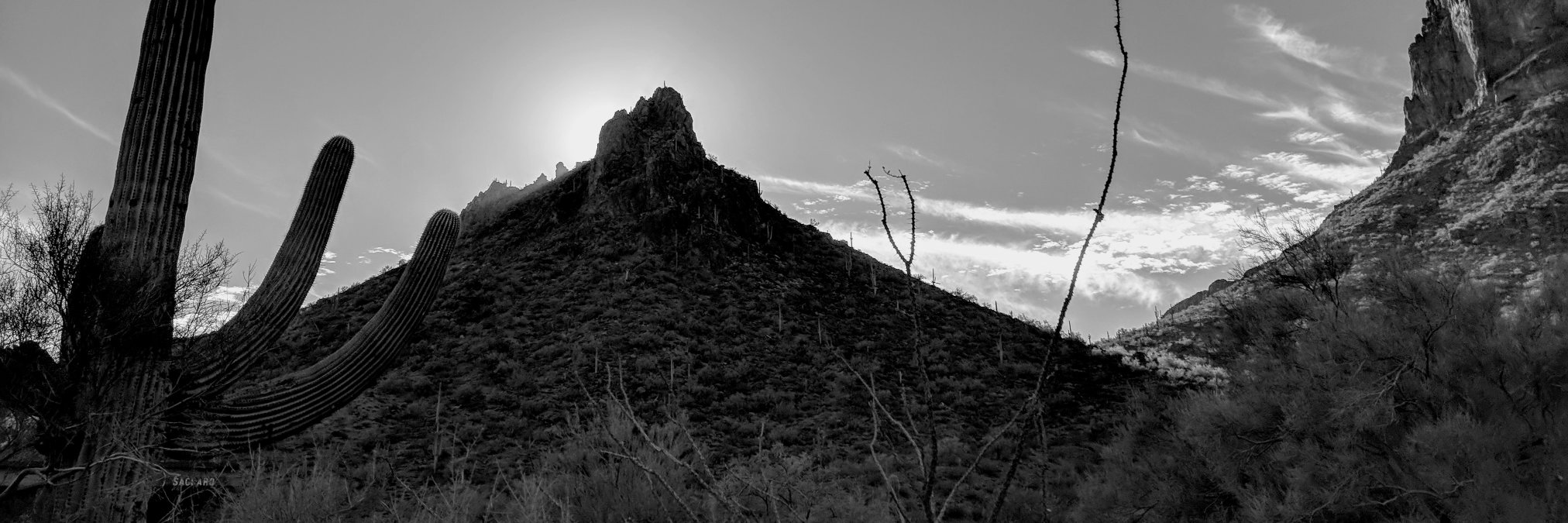 bwilley's profile banner image