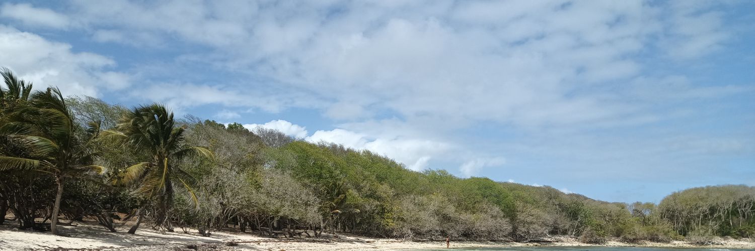 LadyCheaterley banner