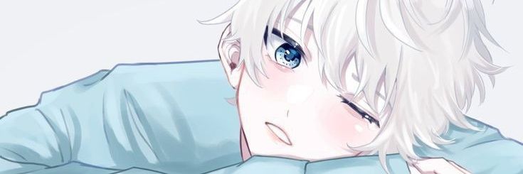 Falls banner
