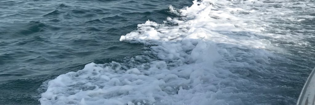 A95_SK's profile banner image