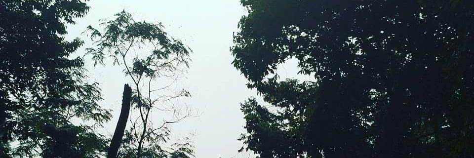 arfrchmn__'s profile banner image