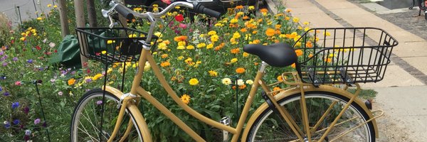 LizJensenWriter Profile Banner