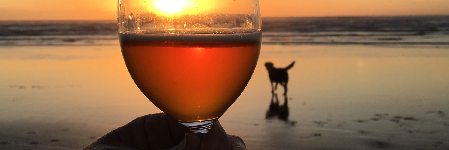 CraftBeerOnline banner