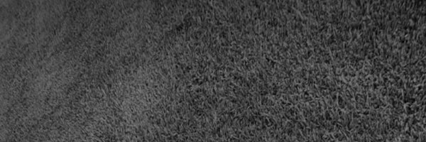 Conyyyfernnn Profile Banner