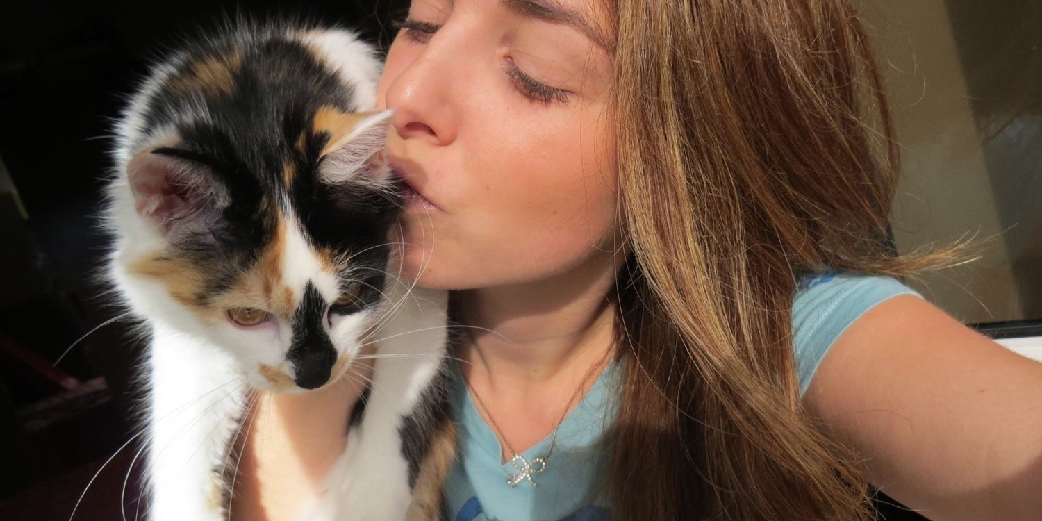 MissFerrand's profile banner image