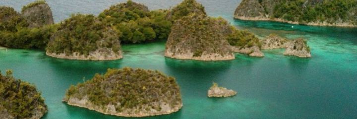 selfimuzdalifah's profile banner image