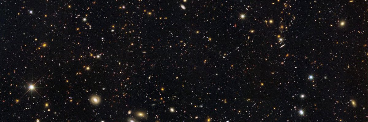 CarolMartgal's profile banner image