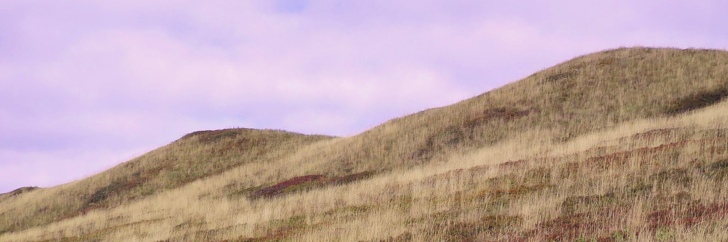 dee_gmiterko's profile banner image