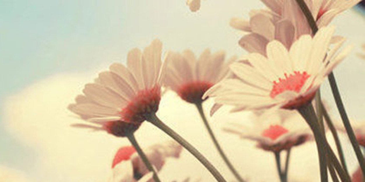 sayuri4459's profile banner image