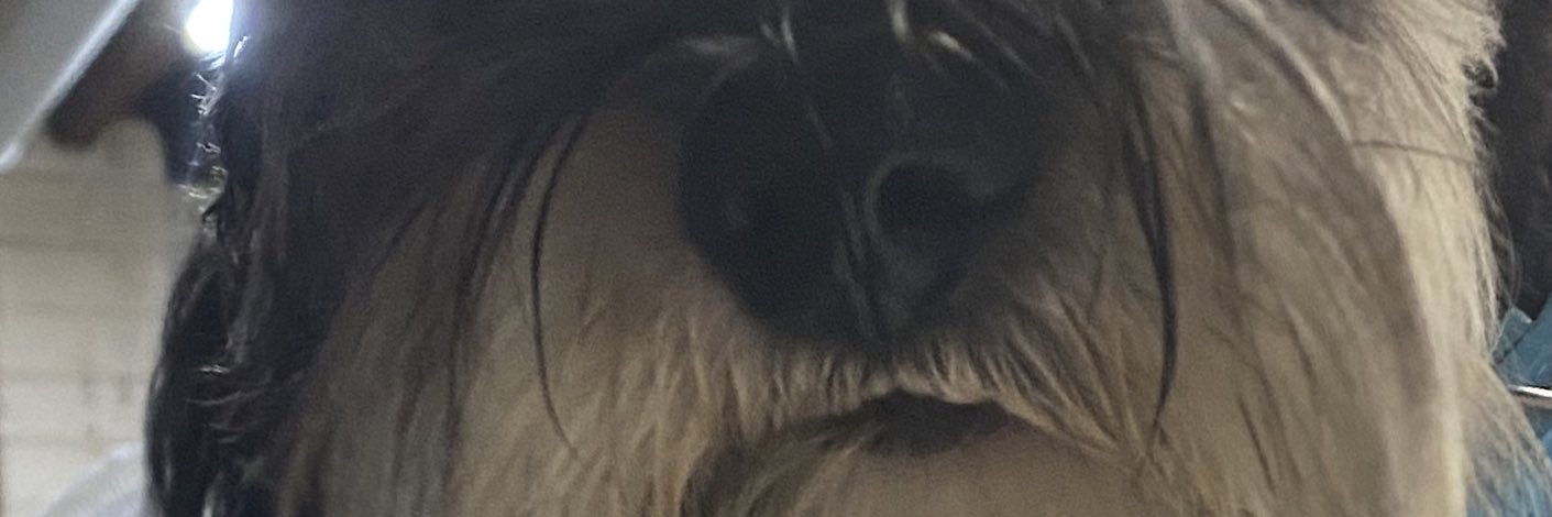 MrMadCun's profile banner image