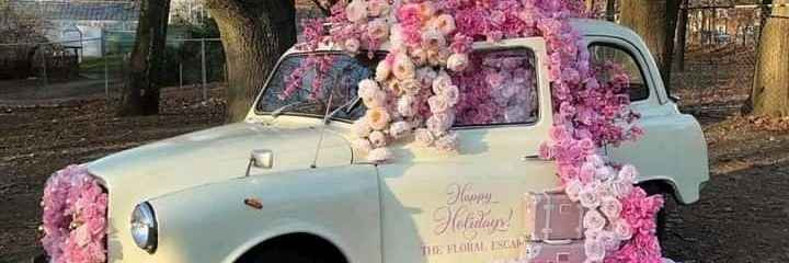 AliceHe27734676's profile banner image