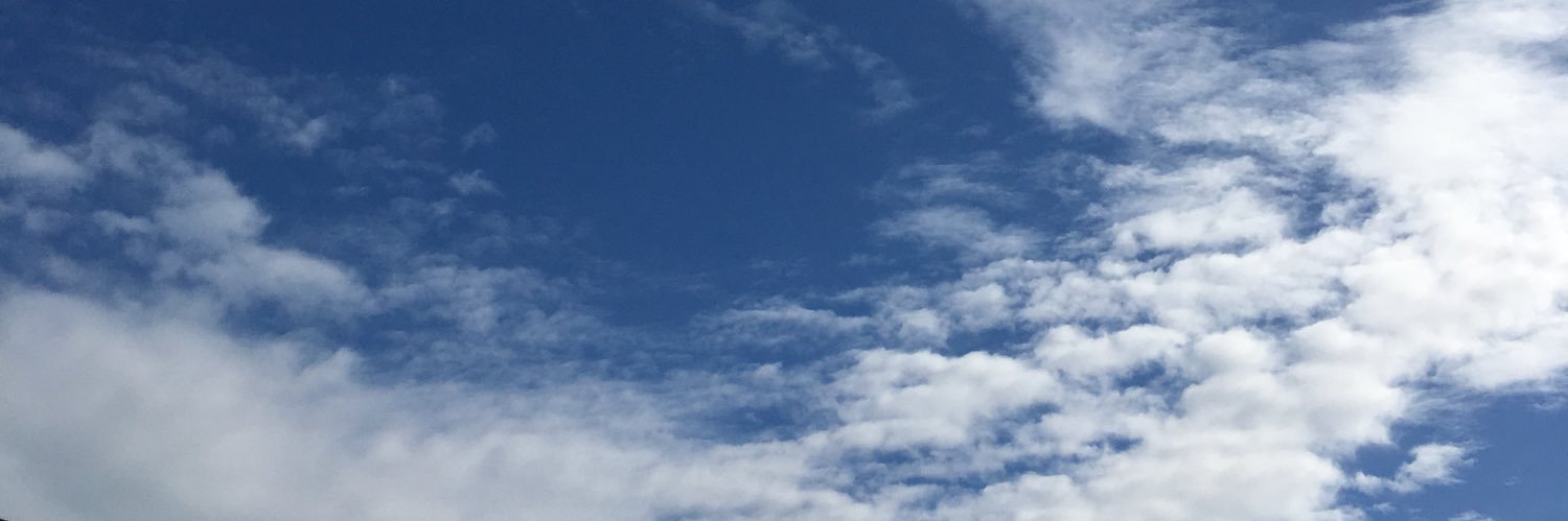 mamamew's profile banner image