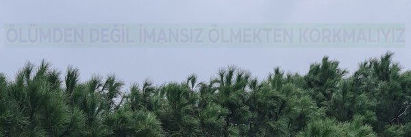 şeyma saliha Profile Banner