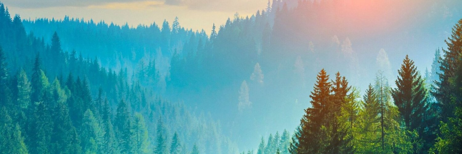 bennyville's profile banner image