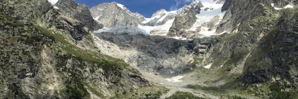 Papavrami Profile Banner