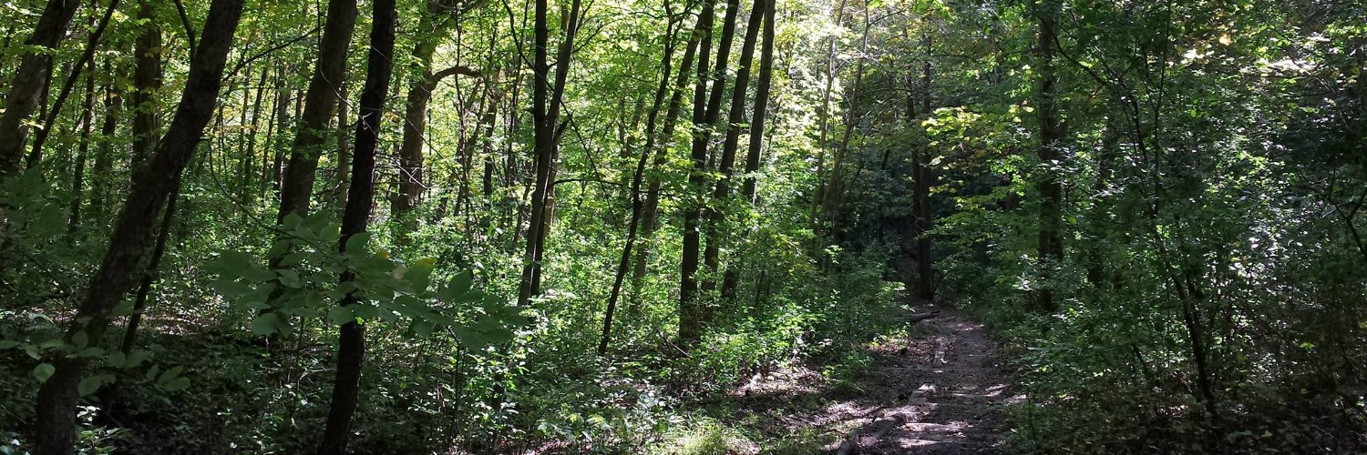 Helen Huntingdon banner